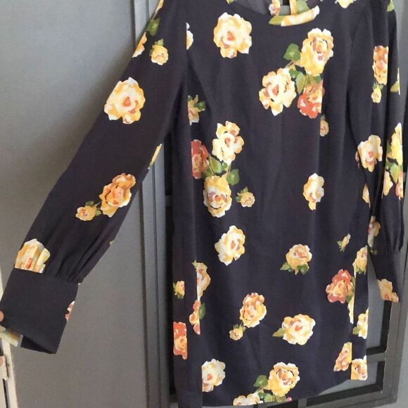 LOFT petites Long sleeve shift dress great for fall photo shoot size xsp - Picture 5 of 5